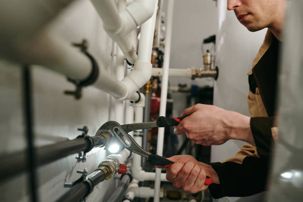 Best Clogged Drain Plumber  in Cecil Bishop, PA
